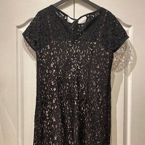 LOFT Lace Dress in Size 14